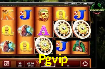 Descubra o Programa VIP da Pgvip: Vantagens Exclusivas para Jogadores
