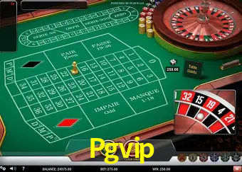 Descubra o Mundo do Cassino Online com Pgvip